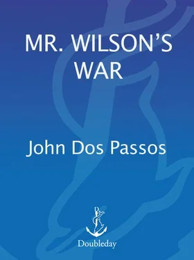 John Passos Mr. Wilson's War обложка книги