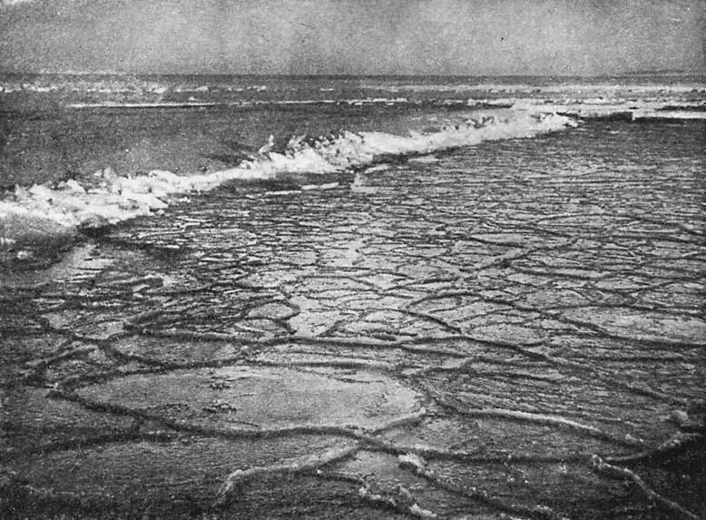 Море покрывалось молодым льдом Суровая Арктика не пожелала считаться с нашими - фото 9