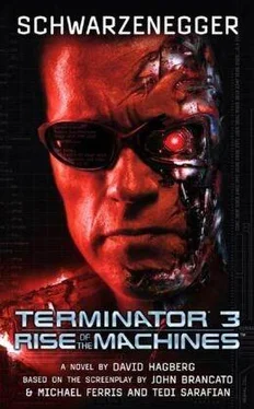 David Hagberg Terminator 3: Rise of the Machines обложка книги