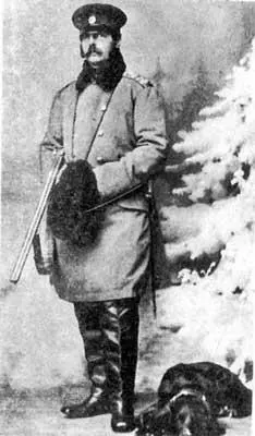 Император Александр II 19 декабря 19 января Напали наконец на - фото 5