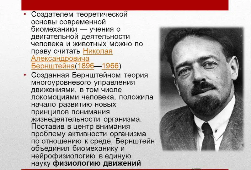 I Николай Александрович Бернштейн одна из наиболее значительных фигур среди - фото 1