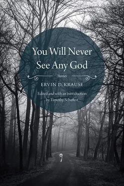 Ervin Krause You Will Never See Any God: Stories обложка книги