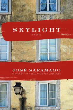 José Saramago Skylight обложка книги