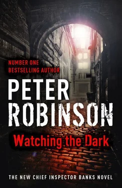 Peter Robinson Watching the Dark обложка книги