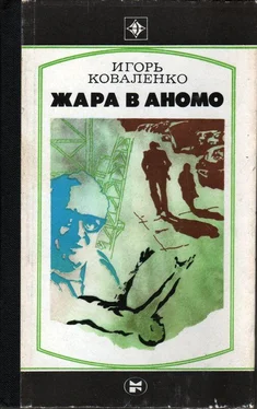 Игорь Коваленко Жара в Аномо обложка книги