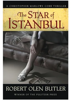 Robert Butler The Star of Istanbul обложка книги