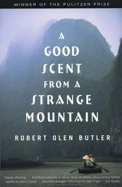 Robert Butler A Good Scent from a Strange Mountain: Stories обложка книги