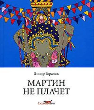 Линор Горалик Мартин не плачет обложка книги