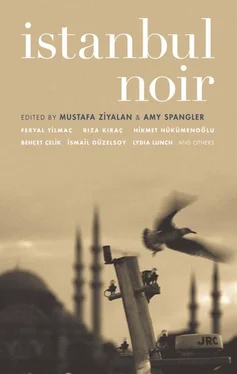 Yasemın Aydinoğlu Istanbul Noir обложка книги