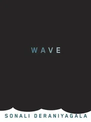 Sonali Deraniyagala - Wave