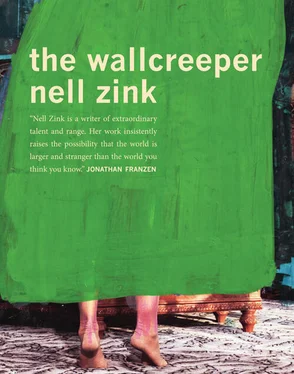 Nell Zink The Wallcreeper обложка книги