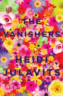 Heidi Julavits The Vanishers обложка книги