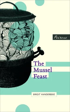 Birgit Vanderbeke The Mussel Feast обложка книги