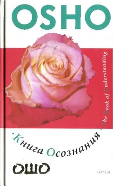 Бхагаван Раджниш Книга осознания: Создайте свой собственный путь к свободе обложка книги