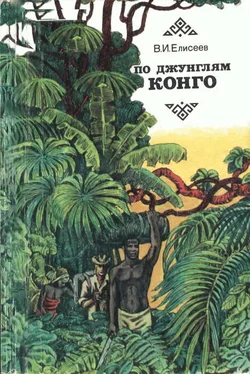 Василий Елисеев По джунглям Конго (Записки геолога) обложка книги