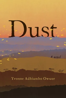 Yvonne Owuor Dust обложка книги