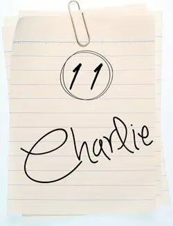 11 Чарли Я стою на краю газона и смотрю на улицу когда он подходит ко мне - фото 21