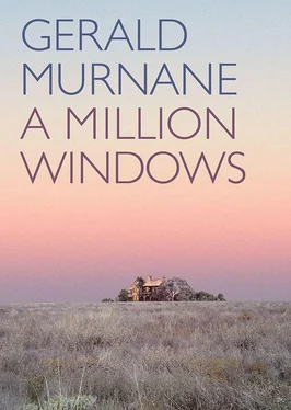 Murnane Gerald A Million Windows обложка книги