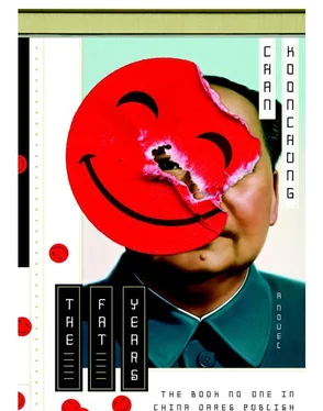 Chan Koonchung The Fat Years обложка книги
