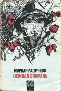 Йордан Радичков Нежная спираль обложка книги