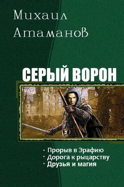 Михаил Атаманов Серый ворон обложка книги