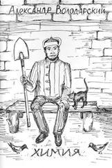 Александр Володарский - Химия