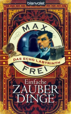 Frei, Max Einfache Zauberdinge обложка книги