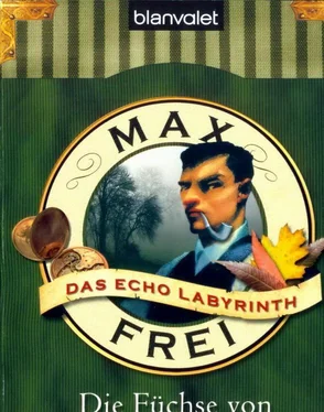 Frei, Max Die Füchse von Mahagon обложка книги