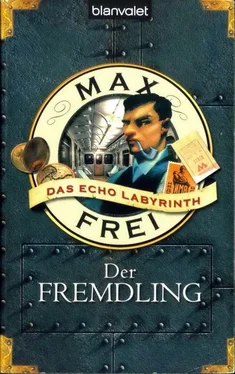 Frei, Max Der Fremdling обложка книги
