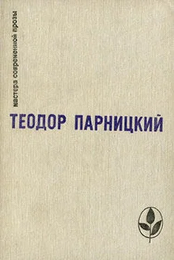 Теодор Парницкий Серебряные орлы обложка книги