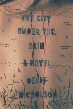 Geoff Nicholson The City Under the Skin