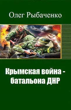 Олег Рыбаченко Крымская война - батальона ДНР (СИ) обложка книги