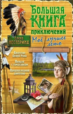 Елена Нестерина Большая книга приключений. Мое лучшее лето (сборник) обложка книги