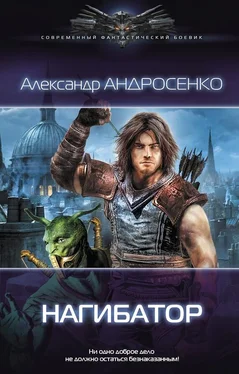 Александр Андросенко Нагибатор обложка книги