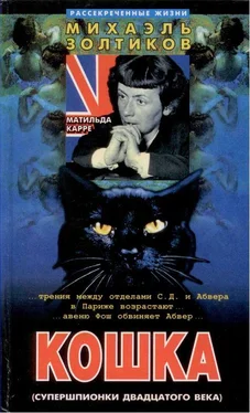 Михаэль Золтиков Кошка обложка книги