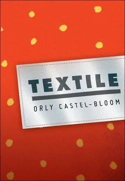 Orly Castel-Bloom Textile обложка книги