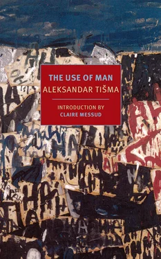 Aleksandar Tišma The Use of Man обложка книги