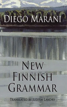 Diego Marani New Finnish Grammar обложка книги