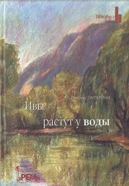 Романо Луперини Ивы растут у воды обложка книги