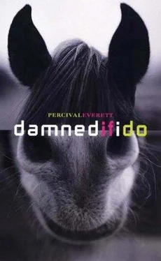 Percival Everett Damned If I Do обложка книги