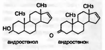 На роль человеческих феромонов претендуют некоторые производные стероидных - фото 46
