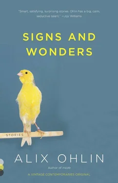 Alix Ohlin Signs and Wonders обложка книги