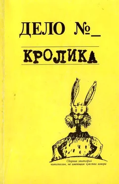 Евгения Кайдалова Дело кролика обложка книги