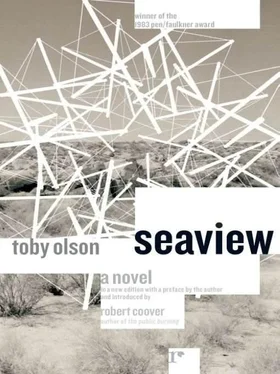 Toby Olson Seaview обложка книги