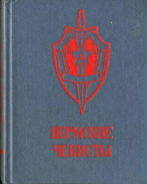 Коллектив авторов Пермские чекисты (сборник) обложка книги