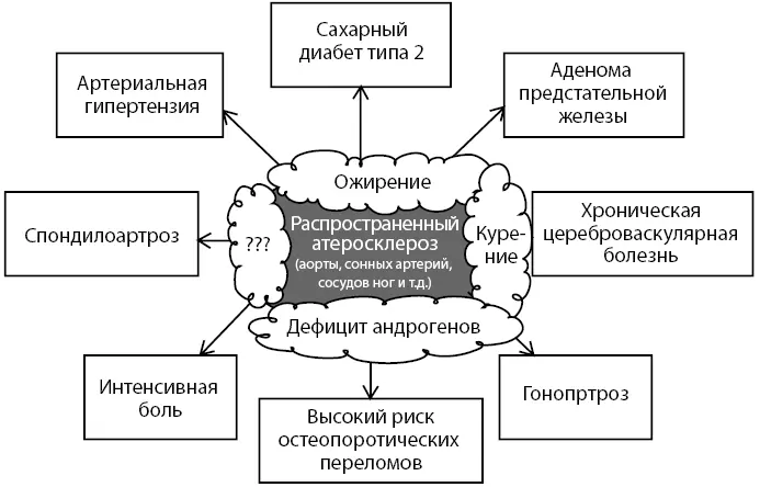 Рисунок 4 Факторы риска атеросклероза как базисной проблемы полиморбидности - фото 7