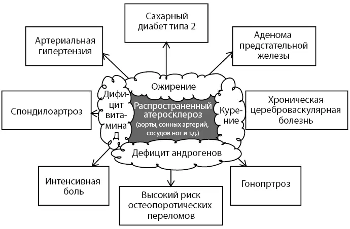 Рисунок 5 Дефицит витамина D 3 также можно рассматривать как основной фактор - фото 8