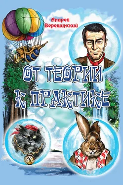 Андрей Верещинский От теории к практике (сборник) обложка книги