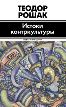 Теодор Рошак Истоки контркультуры обложка книги