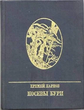 Еремей Парнов Посевы бури: Повесть о Яне Райнисе обложка книги